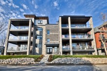 21902074-1-175187114[1]